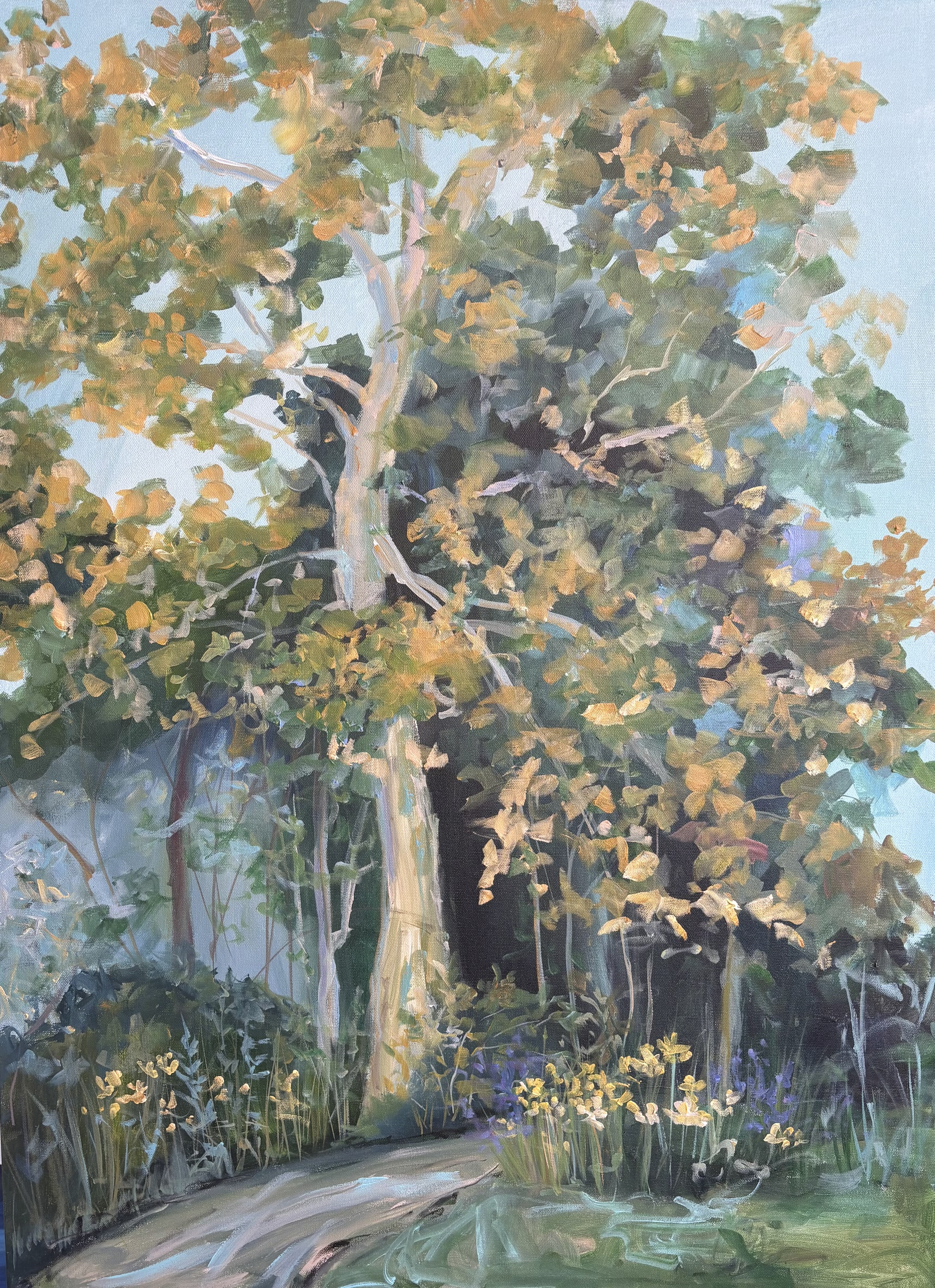 Sycamore Elm Street Garden